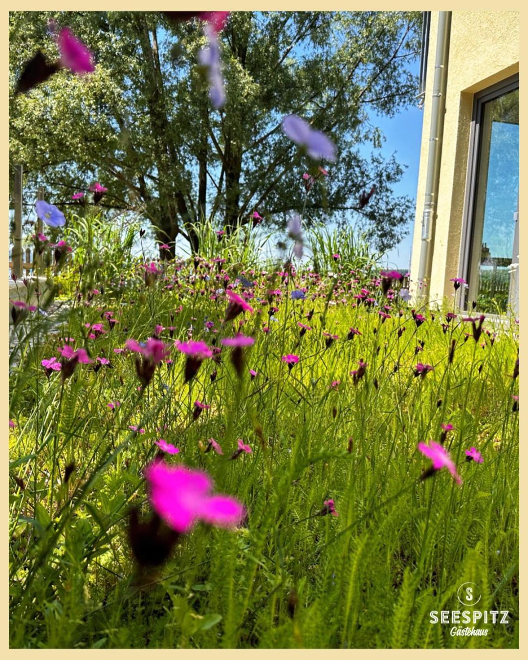 Seespitz Gaestehaus Herrsching am Ammersee Esterno foto